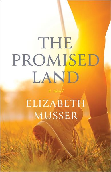 Produktbild: The Promised Land