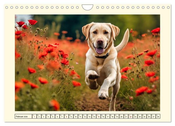 Produktbild: Treue Jagdbegleiter (Wandkalender 2026 DIN A4 quer), CALVENDO Monatskalender