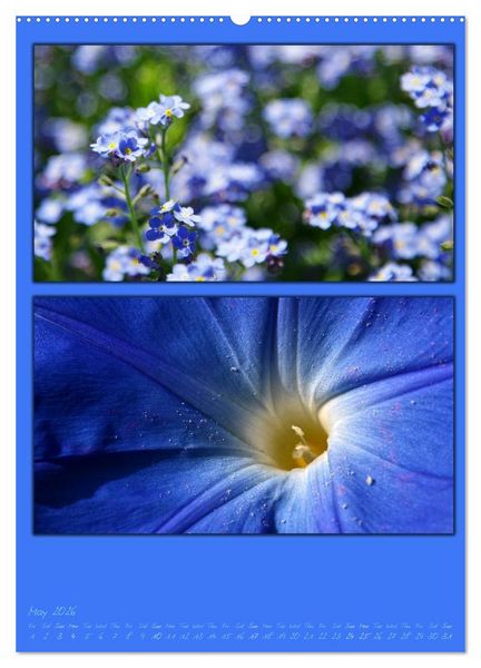Produktbild: Colours of Nature / UK-Version (High Quality Premium Wall Calendar 2026 DIN A2 portrait),CALVENDO 12 Month Wall Calendar