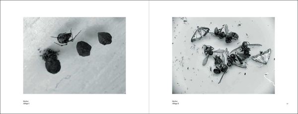 Produktbild: Mariela Sartorius