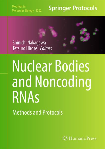 Produktbild: Nuclear Bodies and Noncoding RNAs