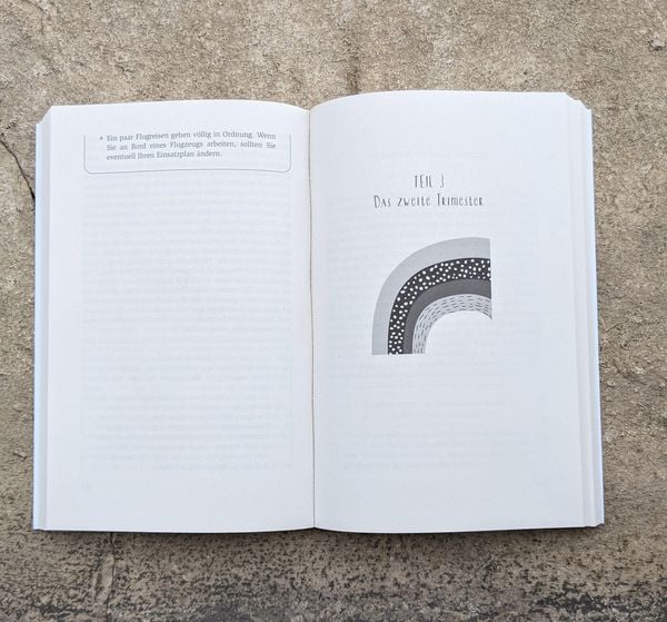 Produktbild: Das einzig wahre Schwangerschafts-Handbuch