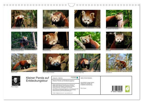 Produktbild: Kleiner Panda auf Entdeckungstour (Wandkalender 2026 DIN A3 quer), CALVENDO Monatskalender