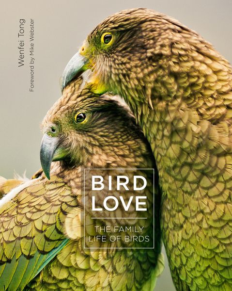 Produktbild: Bird Love