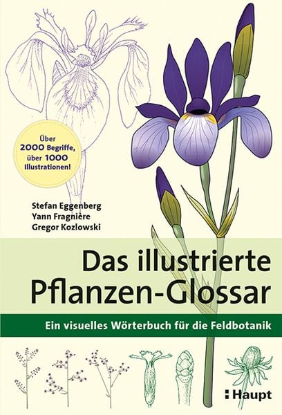 Das illustrierte Pflanzen-Glossar, Taschenbuch von Stefan Eggenberg,Yann Fragnière,Gregor Kozlowski, Haupt Verlag, 978-3-258-08174-8