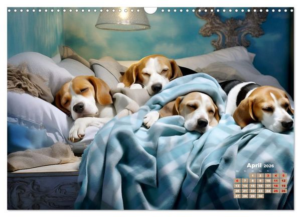 Produktbild: Lieblingsschlafpl&auml;tze (Wandkalender 2026 DIN A3 quer), CALVENDO Monatskalender