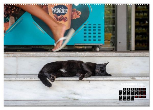 Produktbild: Katzen von Rhodos - Kleine G&ouml;tter auf vier Pfoten (hochwertiger Premium Wandkalender 2026 DIN A2 quer), Kunstdruck in Hochglanz