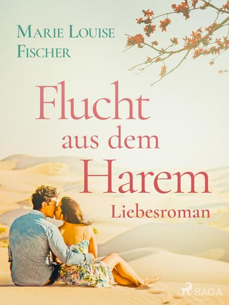 Produktbild: Flucht aus dem Harem - Liebesroman