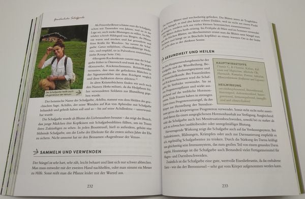 Produktbild: Meine Wildkr&auml;uter