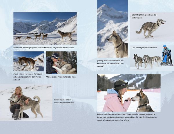Produktbild: Wilder Ruf