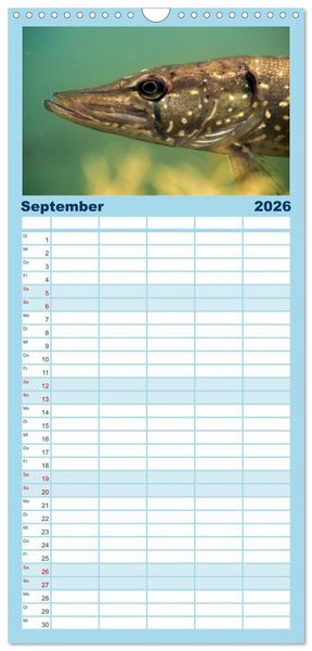 Produktbild: Familienplaner 2026 - Faszination Fische mit 5 Spalten (Wandkalender, 21 x 45 cm) CALVENDO