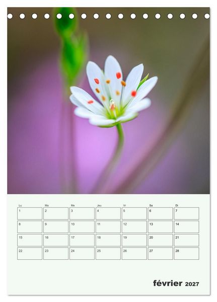 Produktbild: Les fleurs, &eacute;ternelles &eacute;phem&egrave;res (Calendrier de bureau 2027 DIN A5 horizontal), CALVENDO calendrier mensuel