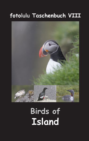 Produktbild: Birds of Island