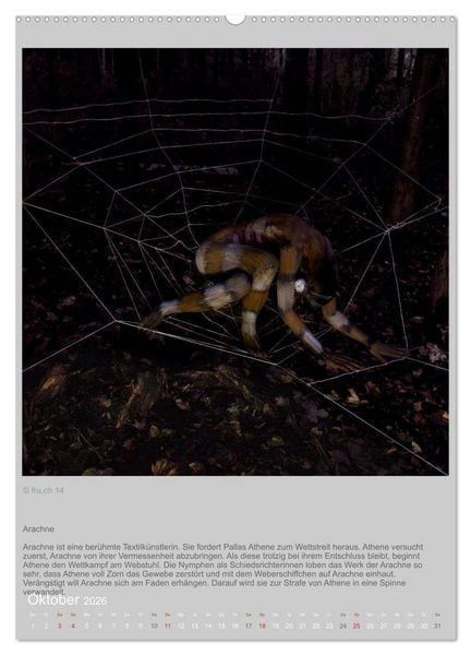 Produktbild: Verwandelte Frauen - Bodypainting-Metamorphosen nach Ovid (hochwertiger Premium Wandkalender 2026 DIN A2 hoch), Kunstdruck in Hochglanz