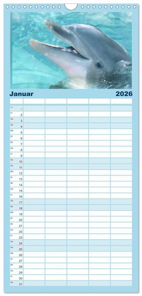 Produktbild: Familienplaner 2026 - Delfine - Kalender mit 5 Spalten (Wandkalender, 21 x 45 cm) CALVENDO