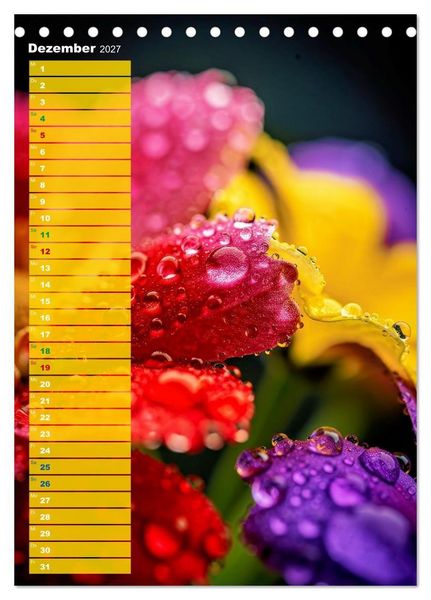 Produktbild: Bunte Augenblicke (Tischkalender 2027 DIN A5 hoch), CALVENDO Monatskalender
