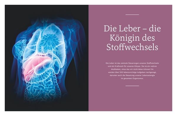 Produktbild: Die revolution&auml;re 9-Tage-Leber-Kur