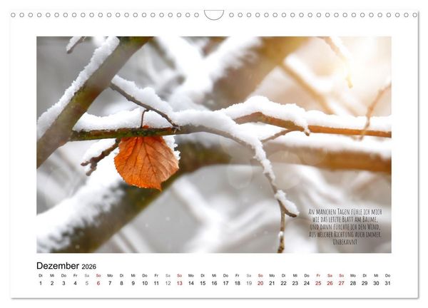 Produktbild: Bl&auml;tterreigen (Wandkalender 2026 DIN A3 quer), CALVENDO Monatskalender