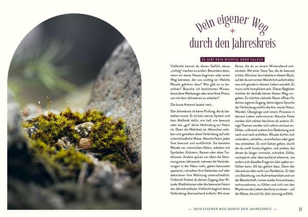 Produktbild: Zauber der Jahreskreisfeste &ndash; Dein 3-Jahres-Begleiter
