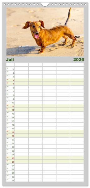Produktbild: Familienplaner 2026 - Dackelblicke - Lassen Herzen erw&auml;rmen. mit 5 Spalten (Wandkalender, 21 x 45 cm) CALVENDO