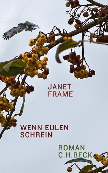 Produktbild: Wenn Eulen schrein