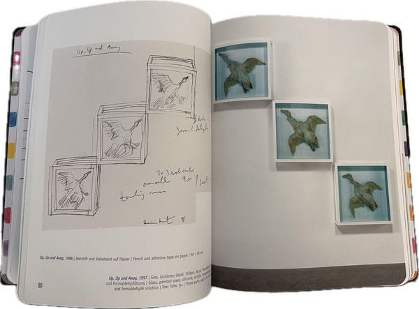 Produktbild: Damien Hirst - Drawings