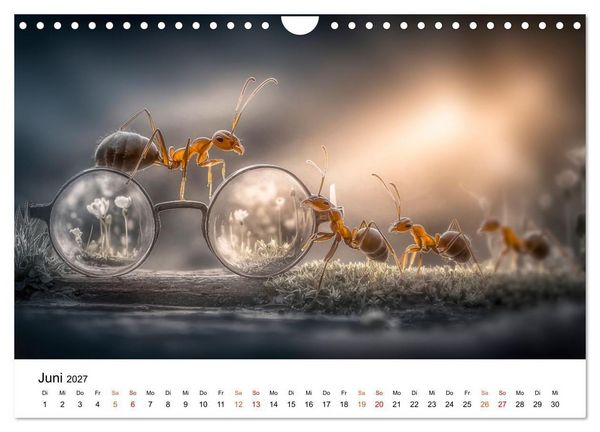 Produktbild: Brillen Bande (Wandkalender 2027 DIN A4 quer), CALVENDO Monatskalender