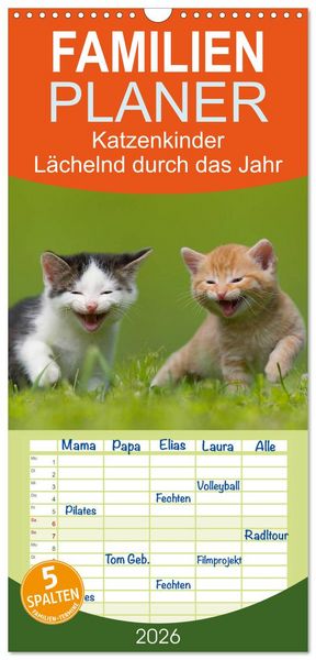 Produktbild: Familienplaner 2026 - L&auml;chelnd durchs Jahr - Katzenkinder -Familienplaner hoch mit 5 Spalten (Wandkalender, 21 x 45 cm) CALVENDO
