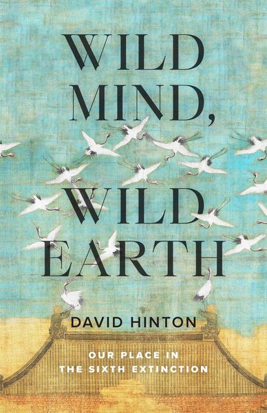 Produktbild: Wild Mind, Wild Earth