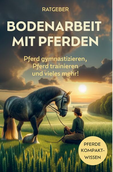 Produktbild: Bodenarbeit Pferd