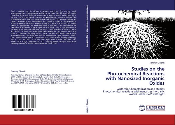 Produktbild: Studies on the Photochemical Reactions with Nanosized Inorganic Oxides