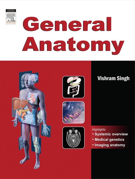 Produktbild: Endocrine System