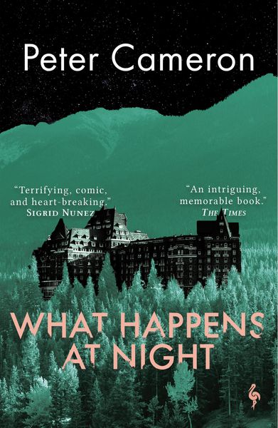 Produktbild: What Happens at Night