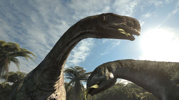 Produktbild: Planet Deutschland - 300 Millionen Jahre