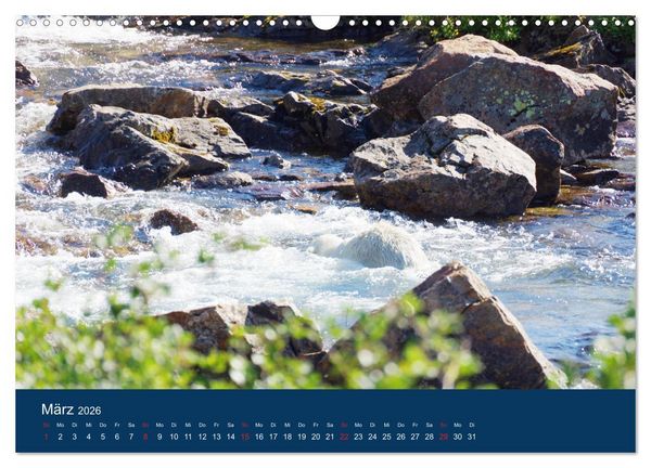 Produktbild: Das Leben der etwas "anderen" Eisb&auml;ren! (Wandkalender 2026 DIN A3 quer), CALVENDO Monatskalender