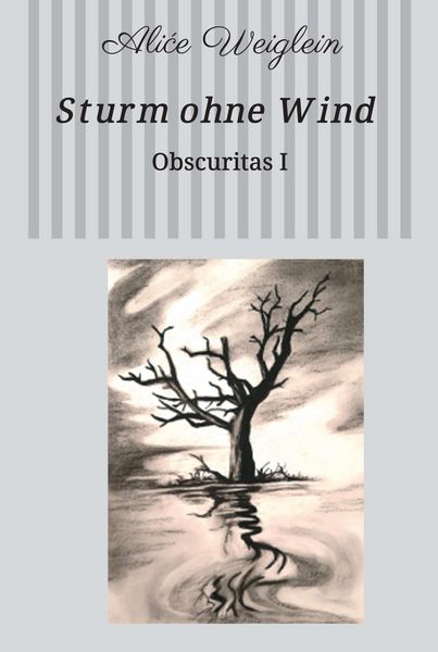 Produktbild: Sturm ohne Wind