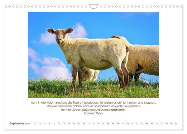 Produktbild: Der Tierkalender mit Zitaten, Weisheiten und Spr&uuml;chen (Wandkalender 2026 DIN A3 quer), CALVENDO Monatskalender