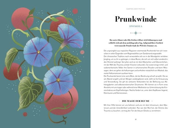 Produktbild: Blumen-Zauber