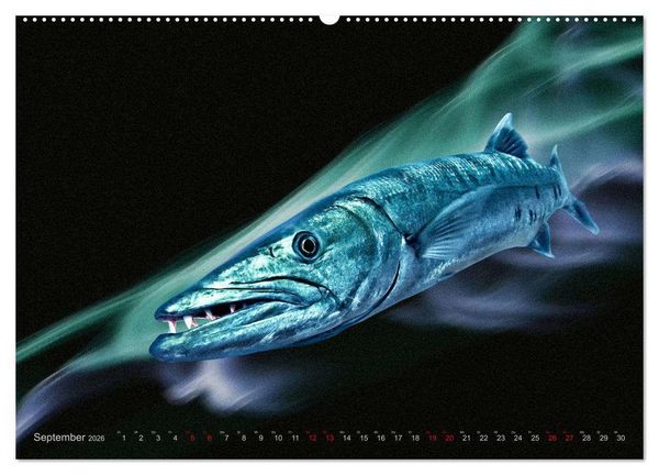 Produktbild: Artwork Unterwasser - Erlebnis Tauchen (hochwertiger Premium Wandkalender 2026 DIN A2 quer), Kunstdruck in Hochglanz