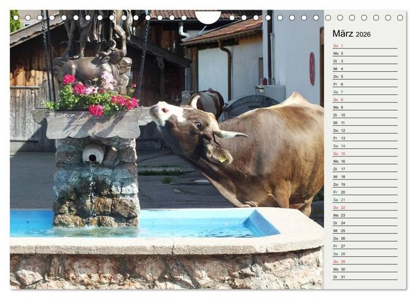 Produktbild: Schwangauer Momente (Wandkalender 2026 DIN A4 quer), CALVENDO Monatskalender