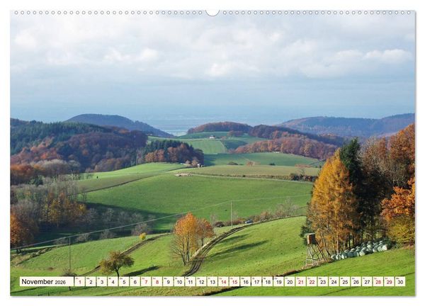 Produktbild: Viele Wege - ein Ziel Wandern im Odenwald (Wandkalender 2026 DIN A2 quer), CALVENDO Monatskalender