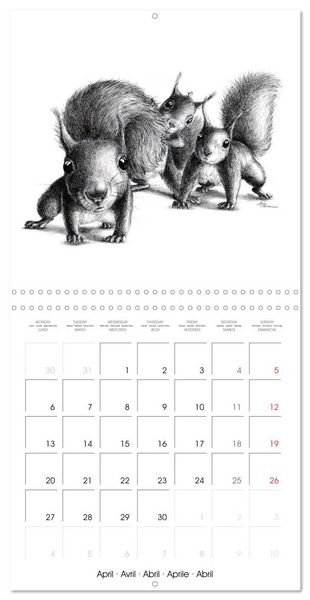 Produktbild: owls and mates 2026 (Wall Calendar 2026 12 &times; 12 Inch) CALVENDO 12 Month Wall Calendar
