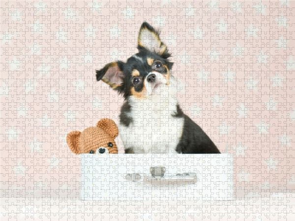 Produktbild: CALVENDO Puzzle S&uuml;&szlig;er Chihuahua mit Teddy | 1000 Teile Lege-Gr&ouml;&szlig;e 64x48cm Foto-Puzzle f&uuml;r gl&uuml;ckliche Stunden