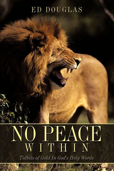 Produktbild: No Peace Within