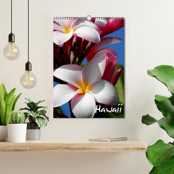 Produktbild: Hawaii (Wandkalender 2026 DIN A3 hoch), CALVENDO Monatskalender