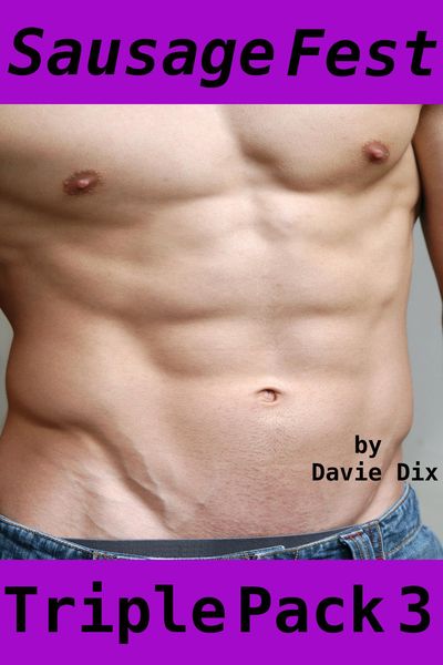 Produktbild: Sausage Fest, Triple Pack 3 (Gay Erotica)