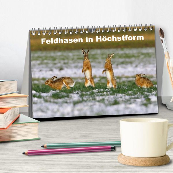 Produktbild: Feldhasen in H&ouml;chstform (Tischkalender 2026 DIN A5 quer), CALVENDO Monatskalender