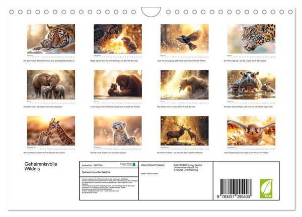Produktbild: Geheimnisvolle Wildnis (Wandkalender 2026 DIN A4 quer), CALVENDO Monatskalender