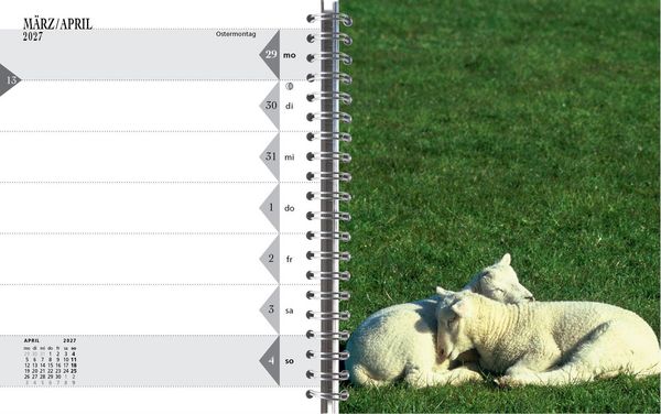 Produktbild: Sylt-die Insel 2027 Tischkalender