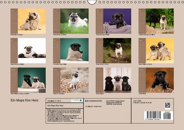 Produktbild: Ein Mops f&uuml;rs Herz (Wandkalender immerw&auml;hrend DIN A3 quer)